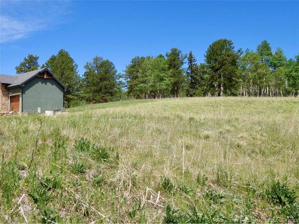 307 Pinaceae, Divide, CO 80814