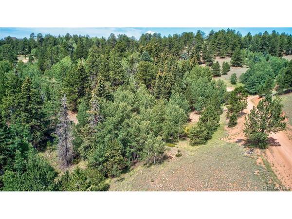 158 Rattler, Cripple Creek, CO 80813