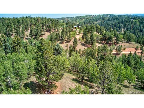 158 Rattler, Cripple Creek, CO 80813