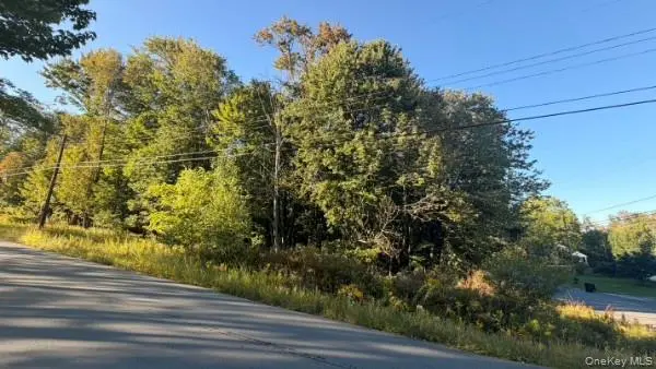 Highview AVE, Liberty, NY 12754
