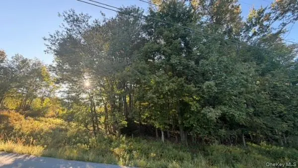 Highview AVE, Liberty, NY 12754