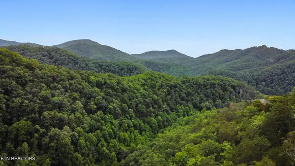 4137 Watson Court, Pigeon Forge, TN 37863