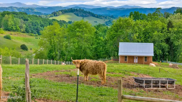 636 Dry Hill Rd, Butler, TN 37640