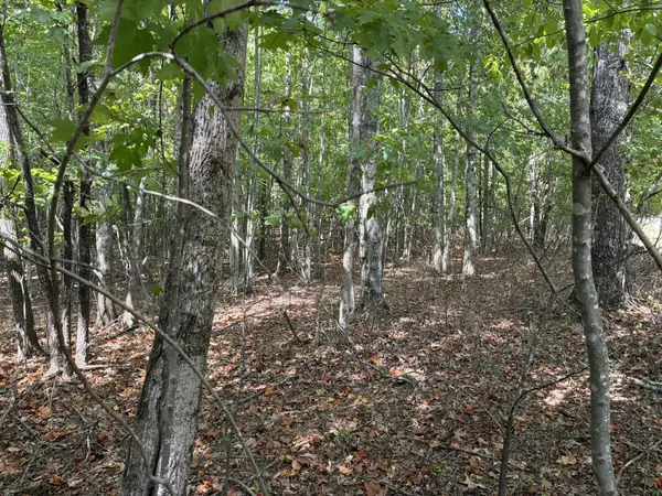 0 Lake Trail, Dunlap, TN 37327