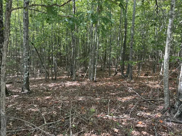 0 Lake Trail, Dunlap, TN 37327
