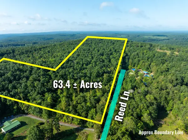 1967 Red Leaf Lane, Soddy Daisy, TN 37379