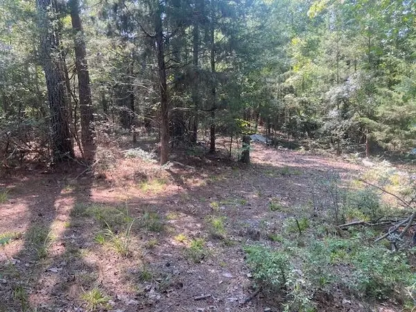 225 Bancroft Rd, Gaffney, SC 29340