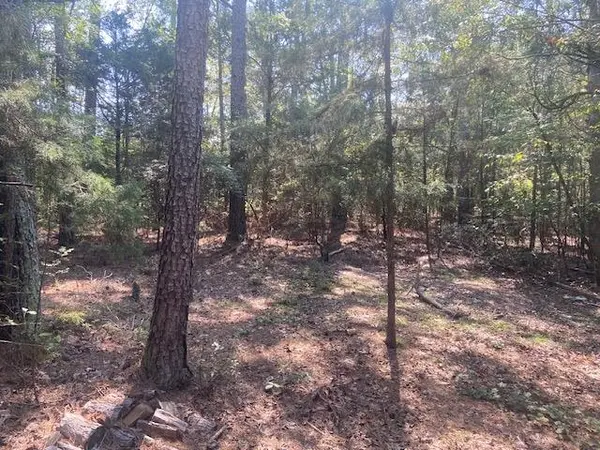 225 Bancroft Rd, Gaffney, SC 29340