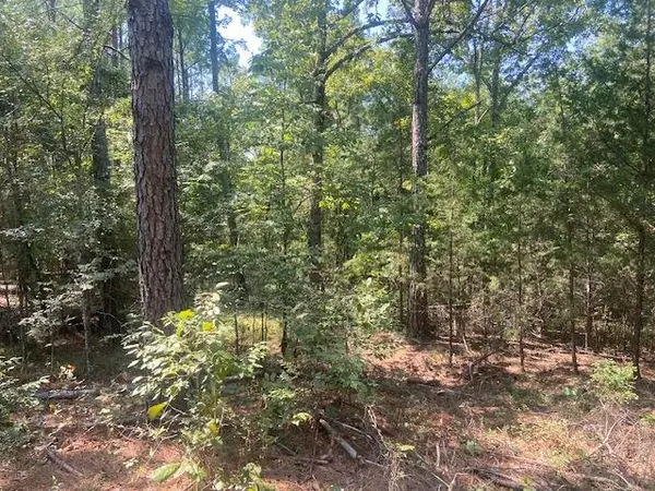 225 Bancroft Rd, Gaffney, SC 29340