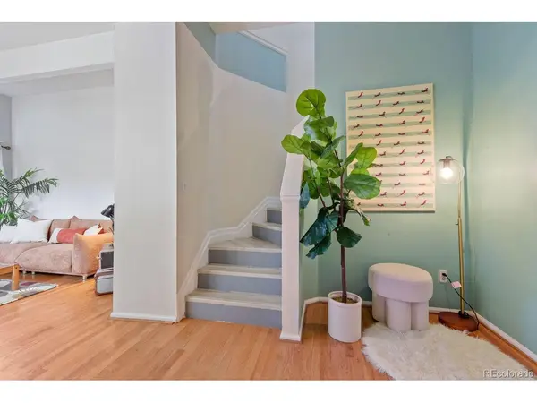 101 S Downing #2, Denver, CO 80209