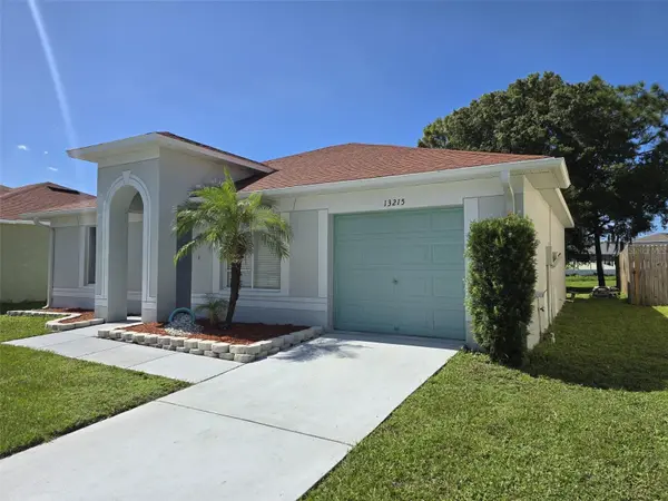 13215 PIKE LAKE DR, Riverview, FL 33579