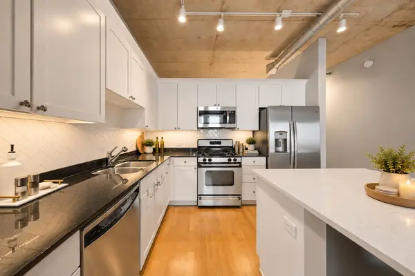 720 N Larrabee ST #1509, Chicago, IL 60654