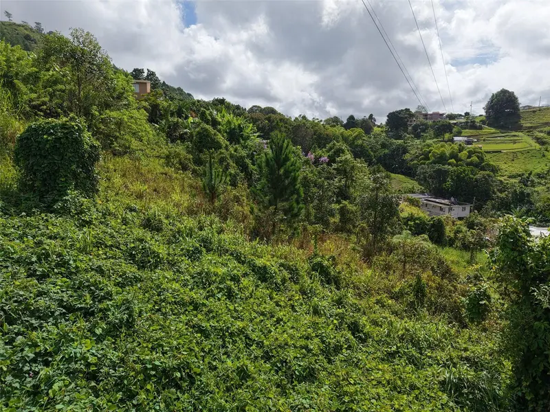 PR 772 KM 4.9 CAÑABON WARD, Barranquitas, PR 00794