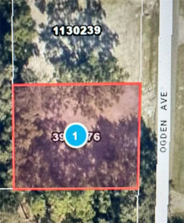 525 OGDEN AVE, Umatilla, FL 32784