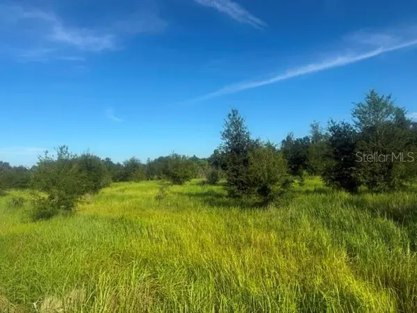 WALTER HUNTER RD #Lot 1, Lithia, FL 33547