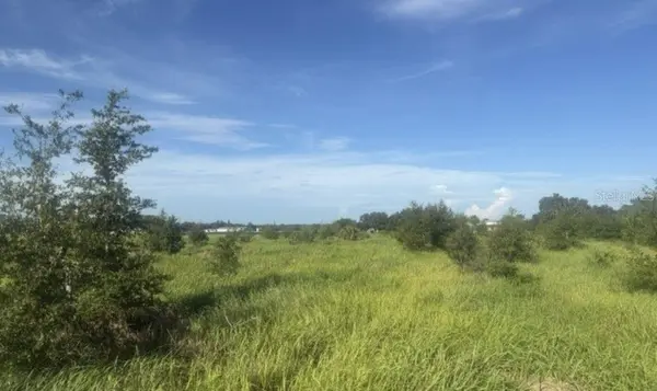 WALTER HUNTER RD #Lot 1, Lithia, FL 33547