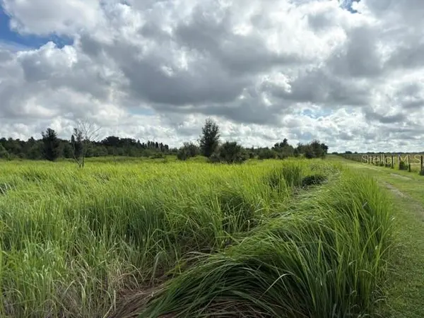 WALTER HUNTER RD #Lot 1, Lithia, FL 33547