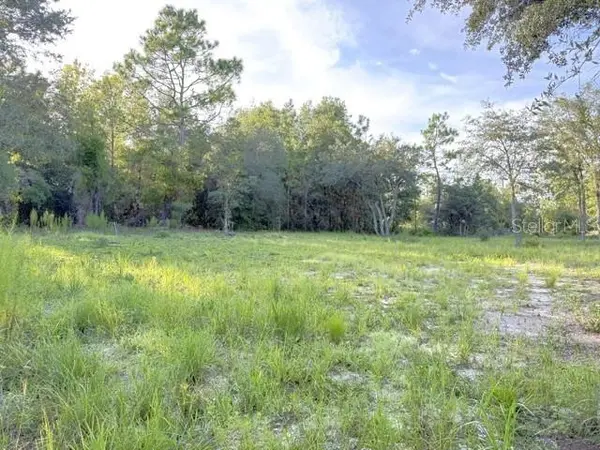 00 NE 50TH PL, Williston, FL 32696