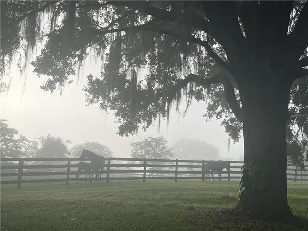 8001 SE 7TH AVENUE RD, Ocala, FL 34480