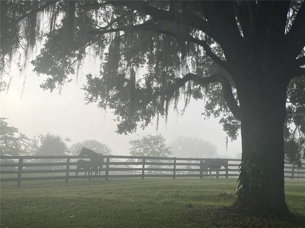 8001 SE 7TH AVENUE RD, Ocala, FL 34480