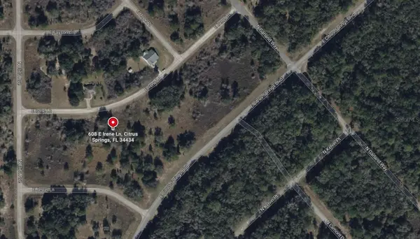 608 E IRENE LN, Citrus Springs, FL 34434