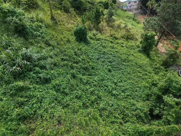 PR 772 KM 4.9 CAÑABON WARD, Barranquitas, PR 00794