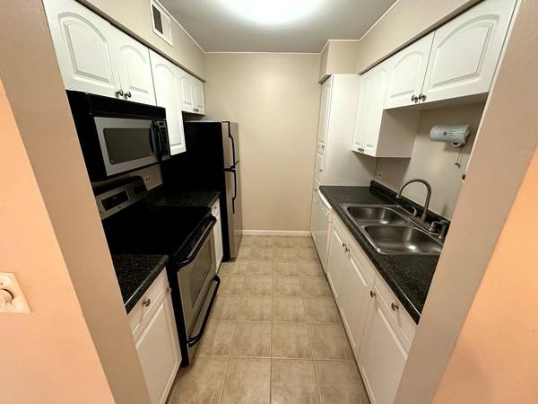 6165 Knoll Wood RD #41-204, Willowbrook, IL 60527