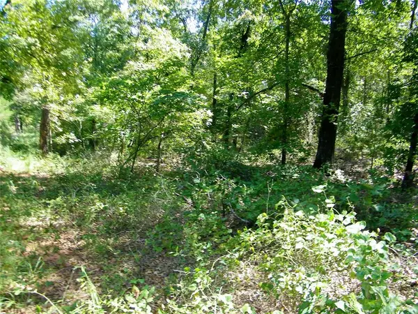Howard AVE, Macomb, OK 73051