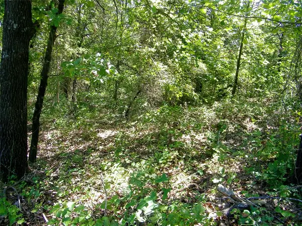 Howard AVE, Macomb, OK 73051