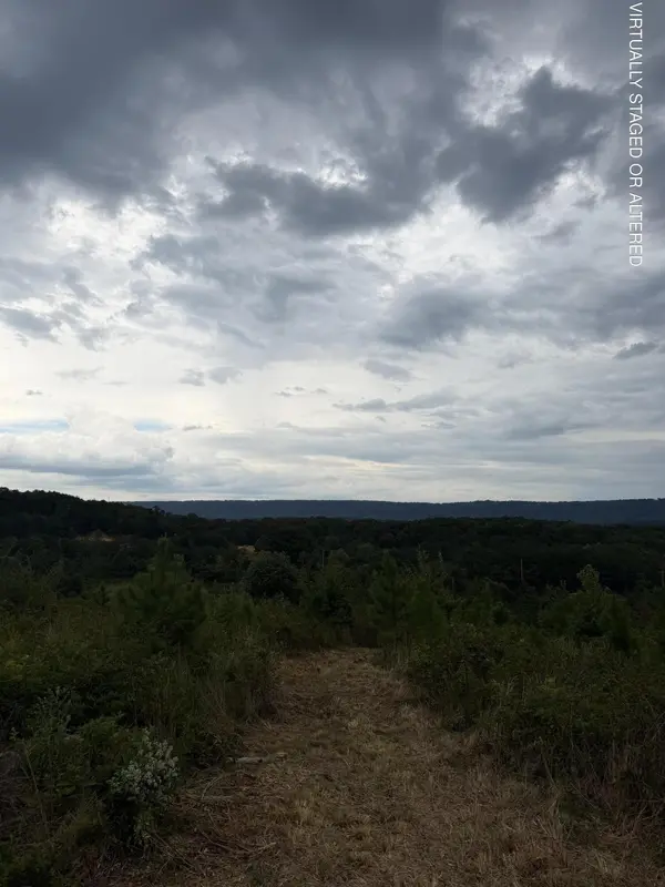 1 Bethel Road, Hammondville, AL 35989