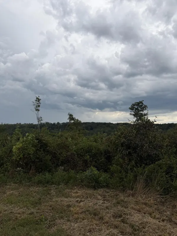 1 Bethel Road, Hammondville, AL 35989