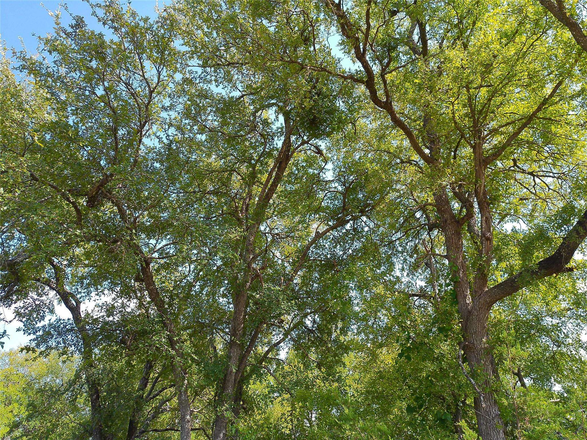 Lot 33 Serenity DR, Bertram, TX 78605