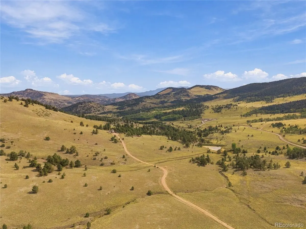 214 Betty Lou, Guffey, CO 80820
