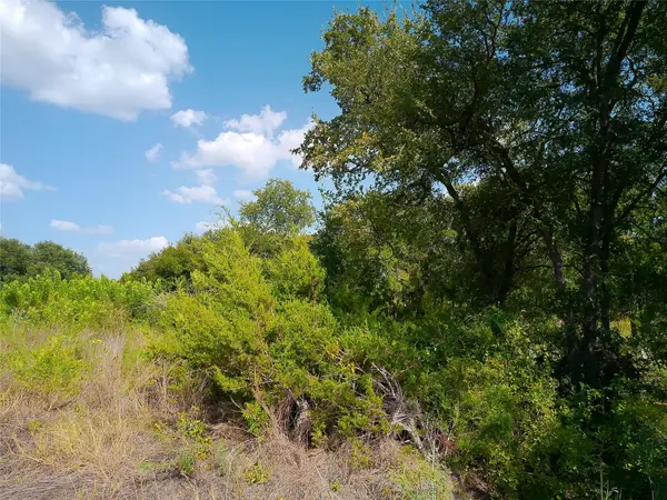 Lot 33 Serenity DR, Bertram, TX 78605