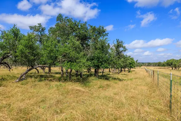 436 Stevens Ranch RD, Harper, TX 78631