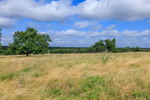 436 Stevens Ranch RD, Harper, TX 78631