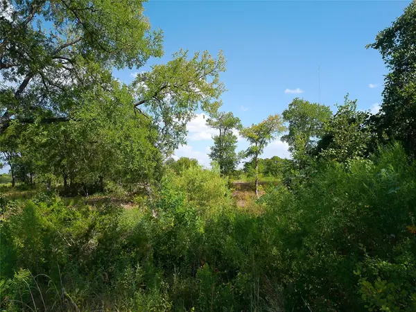 Lot 32 Serenity DR, Bertram, TX 78605