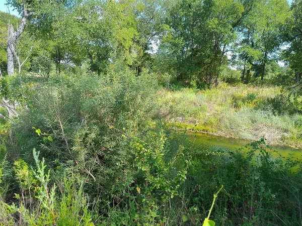 Lot 32 Serenity DR, Bertram, TX 78605