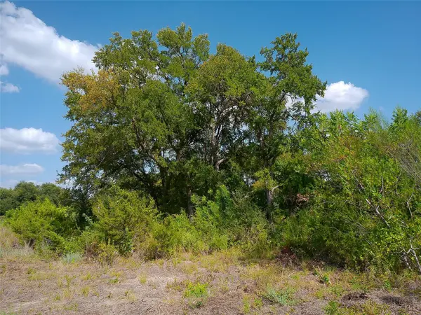 Lot 32 Serenity DR, Bertram, TX 78605