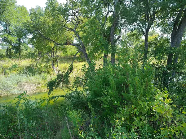 Lot 32 Serenity DR, Bertram, TX 78605