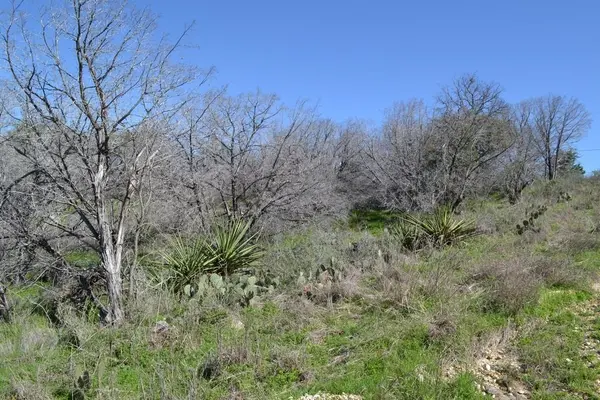 00 Lookback and Paul, Burnet, TX 78611