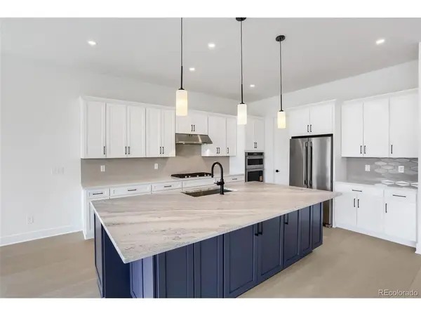 430 Leafy Aster, Castle Rock, CO 80104