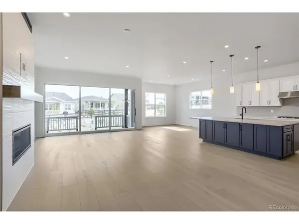 430 Leafy Aster, Castle Rock, CO 80104