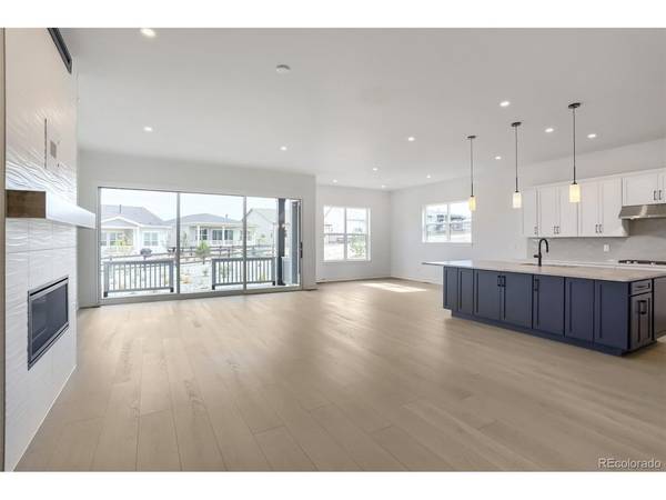 430 Leafy Aster, Castle Rock, CO 80104
