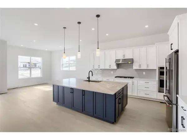 430 Leafy Aster, Castle Rock, CO 80104