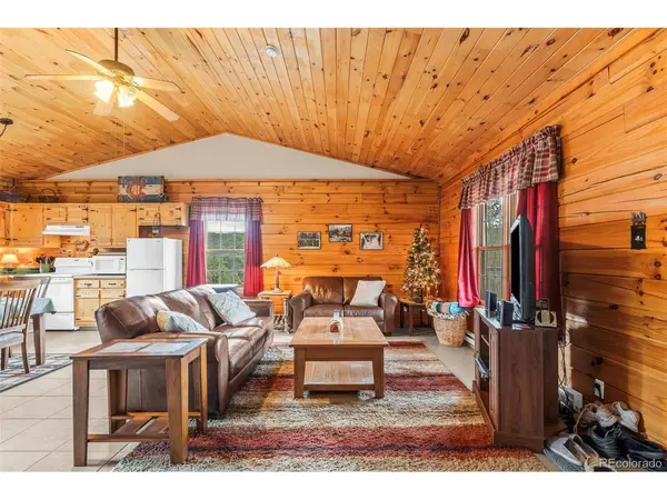 91 Ponderosa, Cotopaxi, CO 81223