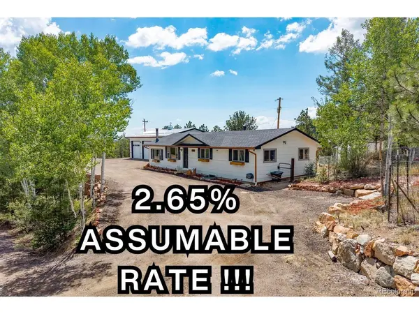 33758 Harmon, Pine, CO 80470