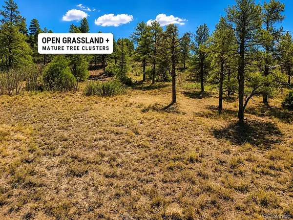 166 Ponderosa, Durango, CO 81301