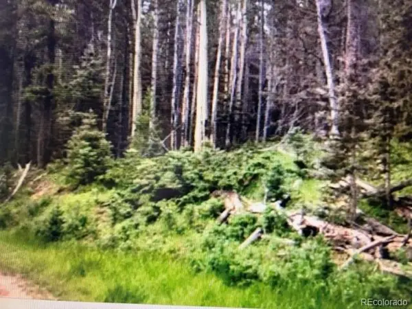 0 Drexler, Fort Garland, CO 81133