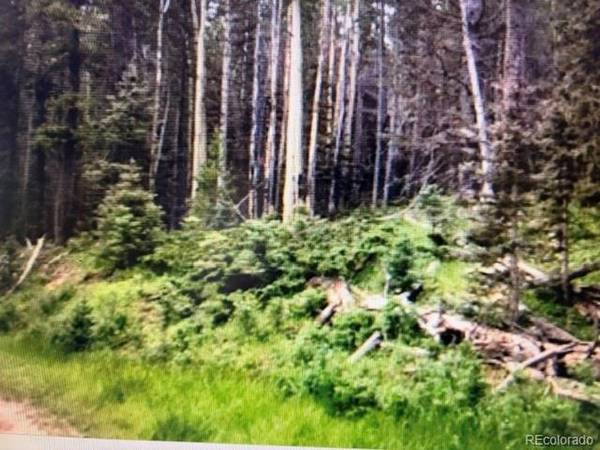 0 Drexler, Fort Garland, CO 81133